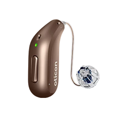 intent-haselnuss_mediton